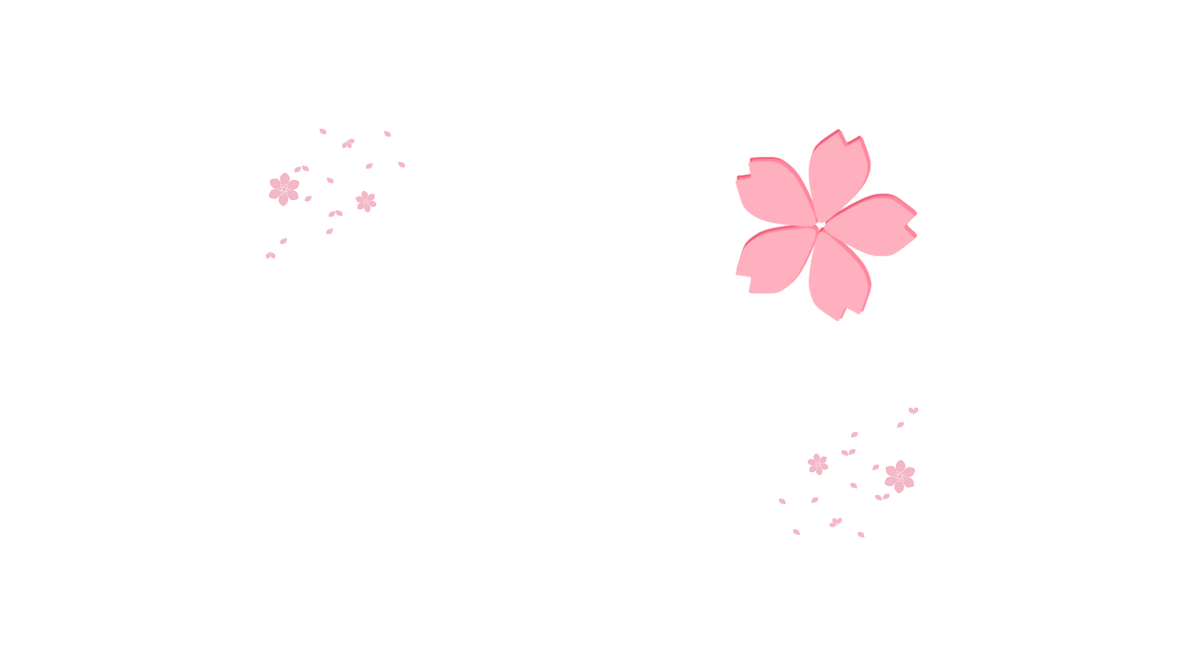 Kasnia Project